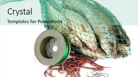  Presentation with sea fishing - Slides with sea worms - fishes in fishing net isolated background and a seafoam green colored foreground