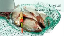  Presentation with fishing net - PPT layouts having surfing santa rocker santa causal santa santa claus rocks out with his surfboard as he plays it like an air guitar isolated on white with room for your text background and a lemonade colored foreground