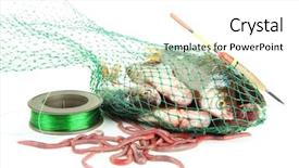  Presentation with fish net - Amazing PPT theme having sea worms - fishes in fishing net isolated backdrop and a white colored foreground