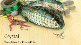  Presentation with fish net - Audience pleasing presentation consisting of sea worms - fishes in fishing net backdrop and a  colored foreground