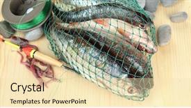  Presentation with sea fishing - Presentation theme consisting of sea worms - fishes in fishing net background and a  colored foreground