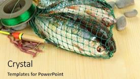  Presentation with fish net - PPT theme having sea worms - fishes in fishing net background and a  colored foreground