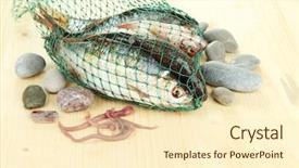  Presentation with sea fishing - Slide set having wombat pool and dove lake background and a light gray colored foreground.