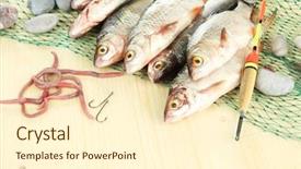  Presentation with sea fishing - Amazing PPT layouts having sea worms - fishes on fishing net backdrop and a  colored foreground