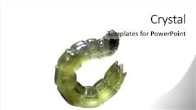  Presentation with worm - PPT theme having sea worms - translucent green worm photographed background and a  colored foreground