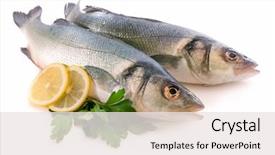  Presentation with herbs - PPT theme having seabass fish dicentrarchus labrax background and a sky blue colored foreground