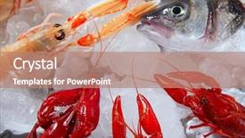  Presentation with clams - Colorful theme enhanced with seabass nephrops river crabs and clams seafood over ice backdrop and a coral colored foreground
