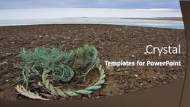  Presentation with plastic pollution - Colorful presentation theme enhanced with seabird-s-nest backdrop and a tawny brown colored foreground