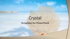  Presentation with sea shell - Theme featuring seafan and sea shell with ocean beach sky and seascape shallow dof background and a lemonade colored foreground