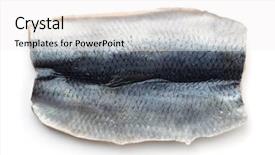  Presentation with brainstorming top view - Cool new slides with seafish - top view of herring fillet backdrop and a white colored foreground