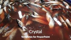  Presentation with ready - Theme having seafish business - fresh herrings ready to be background and a  colored foreground