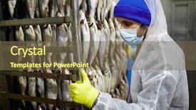  Presentation with staff - Amazing presentation theme having seafish business - young staff in coveralls gloves backdrop and a violet colored foreground