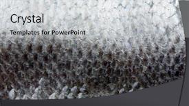  Presentation with fish scales - Amazing PPT theme having seafood - red raw salmon fish backdrop and a light gray colored foreground