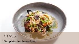  Presentation with octopus - Amazing PPT layouts having seafood-assorted-side-view-octopus backdrop and a coral colored foreground