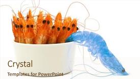  Presentation with shrimp - Presentation theme featuring seafood free - one blue shrimp escapes background and a  colored foreground