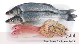  Presentation with seafood - PPT theme enhanced with seafood-in-market-package-isolated background and a coral colored foreground