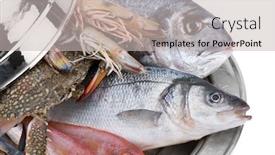  Presentation with seafood - Audience pleasing PPT theme consisting of physics - scientist showing the relativity theory backdrop and a dark gray colored foreground.