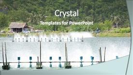  Presentation with shrimp - Audience pleasing slide deck consisting of aerator shrimp farms sam roi backdrop and a tawny brown colored foreground