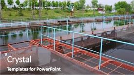  Presentation with fish farm - Slides consisting of pontoon sturgeon fish farm on a fresh water river background and a violet colored foreground