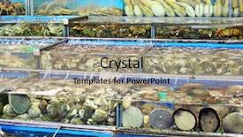  Presentation with hong kong stock market - Cool new slide set with encroaching - forest encroachment to plant corn backdrop and a dark gray colored foreground.