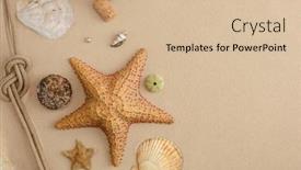  Presentation with sand ocean - Amazing slide set having seafood-on-a-background backdrop and a soft green colored foreground