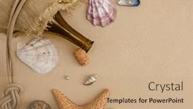  Presentation with sand ocean - Presentation design consisting of seafood-on-a-background background and a coral colored foreground