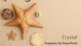  Presentation with sand ocean - PPT layouts with seafood-on-a-background background and a lemonade colored foreground