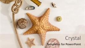  Presentation with sand ocean - Audience pleasing slide deck consisting of seafood-on-a-background backdrop and a lemonade colored foreground