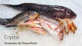  Presentation with seafood - Theme consisting of seafood-on-ice background and a soft green colored foreground