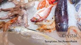  Presentation with seafood - Presentation theme consisting of seafood-on-ice background and a coral colored foreground