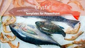  Presentation with seafood - Presentation design with seafood-on-ice background and a coral colored foreground