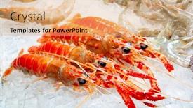  Presentation with seafood - Colorful presentation theme enhanced with seafood-on-ice backdrop and a coral colored foreground
