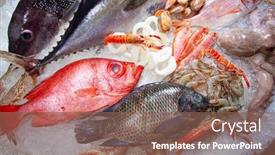  Presentation with seafood - Beautiful slide set featuring seafood-on-ice backdrop and a violet colored foreground