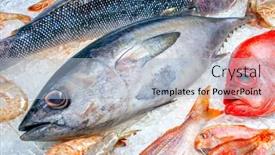  Presentation with fish tuna - Presentation design with seafood-on-ice background and a light blue colored foreground