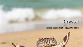  Presentation with alien - PPT theme with seafood-posing-alien-creature background and a soft green colored foreground