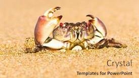  Presentation with alien - PPT layouts with seafood posing alien creature background and a yellow colored foreground