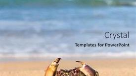  Presentation with seafood - Colorful presentation enhanced with seafood-posing-menacing-eyes backdrop and a light blue colored foreground