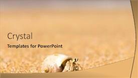  Presentation with seafood - Slide set having seafood posing on the shore background and a coral colored foreground