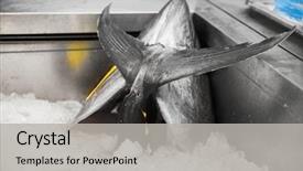  Presentation with market food - Amazing PPT theme having seafood sale and food concept backdrop and a  colored foreground