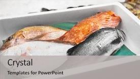  Presentation with market food - Presentation theme having seafood sale and food concept background and a light gray colored foreground