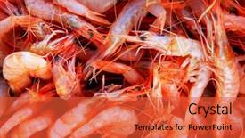  Presentation with seafood - Presentation design having aquaculture - seafood background and a red colored foreground