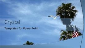  Presentation with seagull - Cool new slide set with seagull-a-seagull-flying backdrop and a light blue colored foreground