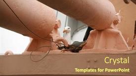  Presentation with bird eggs - PPT theme enhanced with seagull-a-seagull-sits background and a tawny brown colored foreground