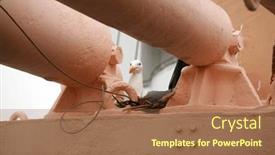  Presentation with bird eggs - Presentation theme with seagull-a-seagull-sits background and a tawny brown colored foreground