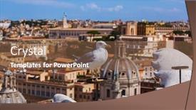  Presentation with seagull - Amazing slide set having seagull-and-rome-italy-cityscape backdrop and a tawny brown colored foreground