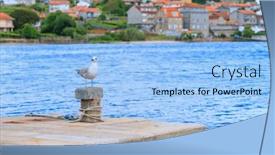 Presentation with seagull - PPT layouts with seagull-and-village-of-combarro background and a light blue colored foreground