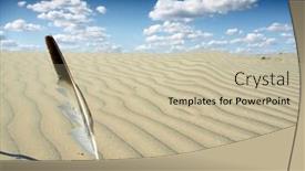  Presentation with seagull - Presentation design featuring seagull-feather-in-the-desert background and a soft green colored foreground