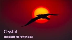  Presentation with seagull - Amazing PPT theme having seagull flying at sunset backdrop and a wine colored foreground