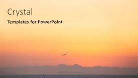  Presentation with seagull - PPT theme enhanced with seagull-flying-over-the-sea background and a white colored foreground
