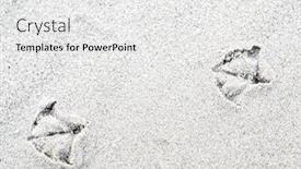  Presentation with footprints sand - Amazing PPT theme having seagull-footprints-on-sand-beach backdrop and a white colored foreground
